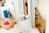 /album/galleria-fotografica/ee-jpg1/